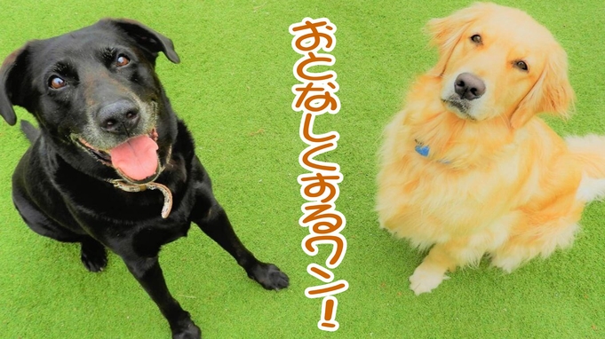 中型犬まで同伴ＯＫ！ワンちゃんと一緒にお泊りプラン♪一頭無料♪／素泊まり／キッチン付きの部屋◎